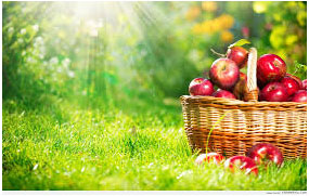 Lua chon thuc pham dung cach