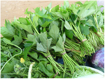 Nhung mon an giup tang luong sua cho con 4