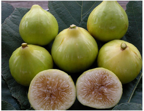 Nhung mon an giup tang luong sua cho con 6