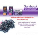 Vitamin C Sambucol tăng cường đề kháng